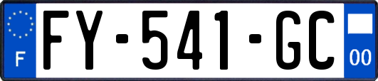 FY-541-GC