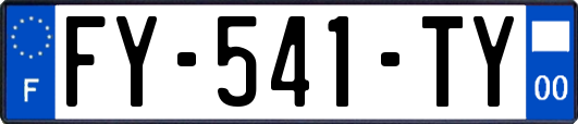 FY-541-TY