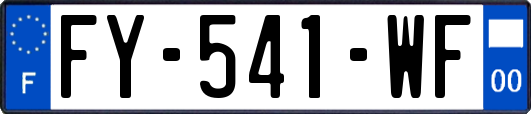 FY-541-WF
