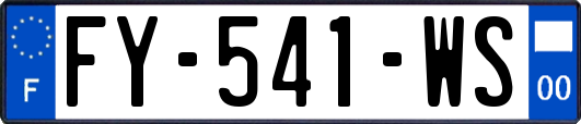 FY-541-WS