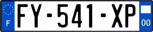 FY-541-XP