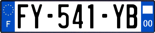 FY-541-YB