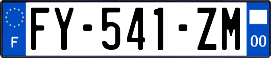 FY-541-ZM