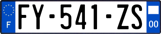 FY-541-ZS
