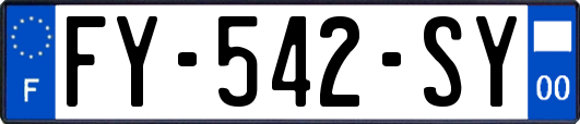 FY-542-SY