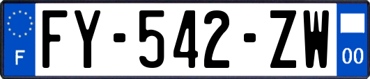 FY-542-ZW
