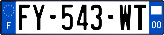 FY-543-WT