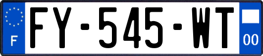 FY-545-WT