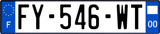 FY-546-WT