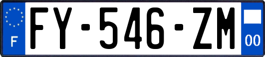 FY-546-ZM