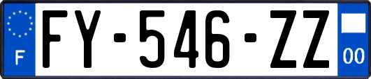 FY-546-ZZ