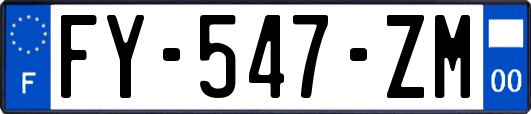 FY-547-ZM