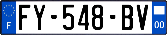 FY-548-BV