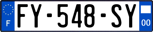 FY-548-SY