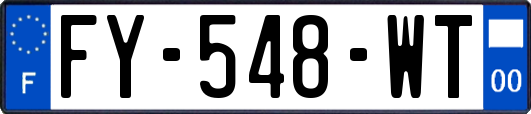 FY-548-WT