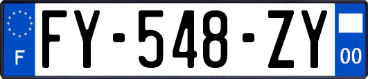 FY-548-ZY