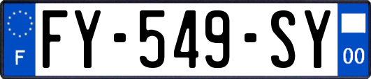 FY-549-SY