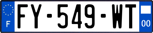 FY-549-WT