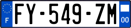 FY-549-ZM