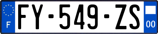 FY-549-ZS
