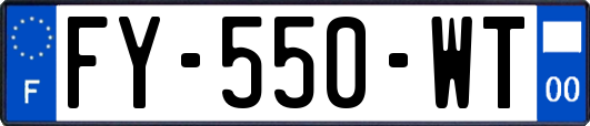 FY-550-WT