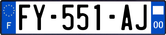 FY-551-AJ