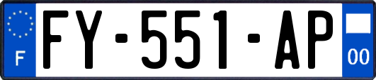FY-551-AP