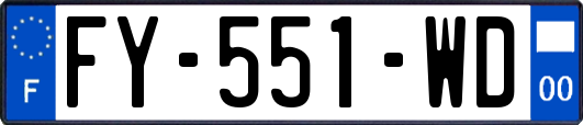 FY-551-WD
