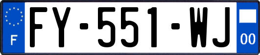 FY-551-WJ