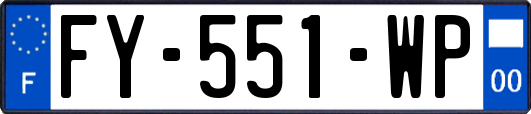 FY-551-WP