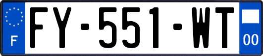 FY-551-WT