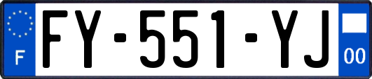 FY-551-YJ