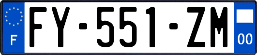 FY-551-ZM