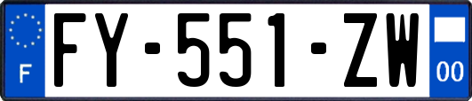 FY-551-ZW