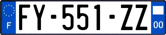 FY-551-ZZ