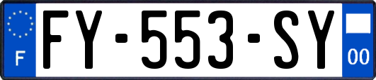 FY-553-SY