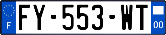FY-553-WT