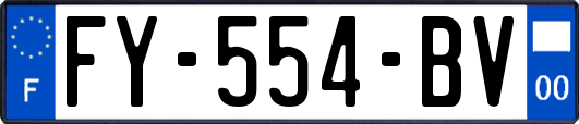 FY-554-BV