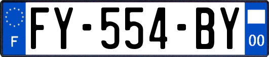 FY-554-BY