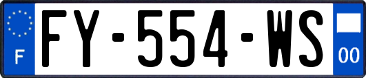 FY-554-WS