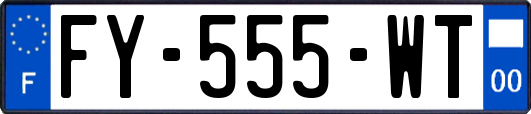 FY-555-WT