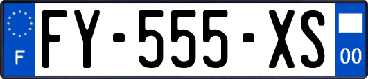 FY-555-XS