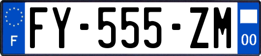 FY-555-ZM