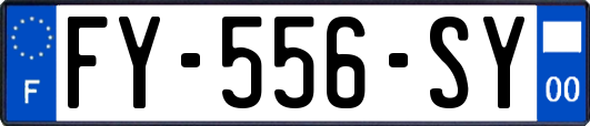FY-556-SY
