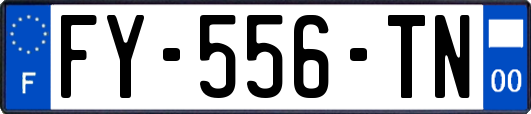 FY-556-TN
