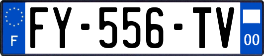 FY-556-TV