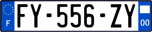 FY-556-ZY