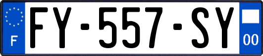 FY-557-SY