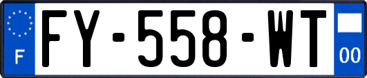 FY-558-WT