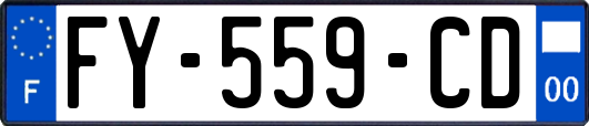 FY-559-CD